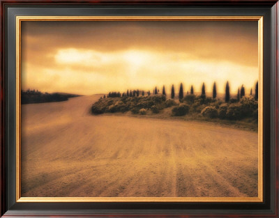 Cypress Study - Tuscany by Jamie Cook Pricing Limited Edition Print image