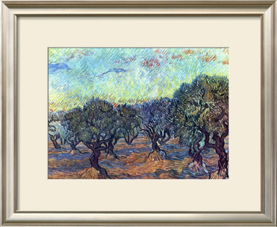 The Olive Grove, C.1889 by Vincent Van Gogh Pricing Limited Edition Print image