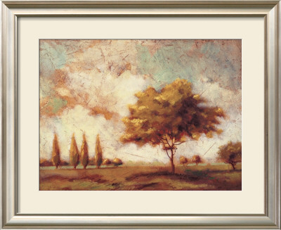 Tuscan Afternoon I by P. Patrick Pricing Limited Edition Print image
