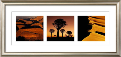 Ochre Nature by Alexander Redling Pricing Limited Edition Print image