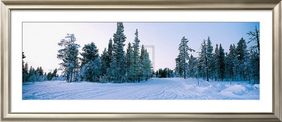 Winter Drifts by Martin Smith Pricing Limited Edition Print image