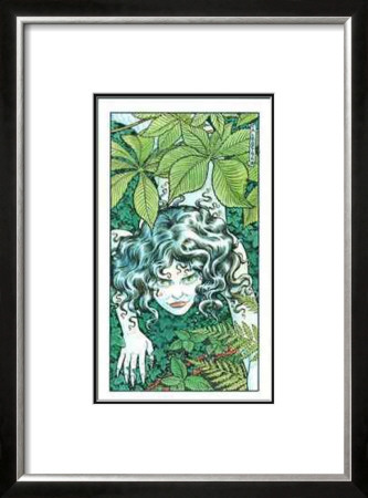 Melusine by Bryan Talbot Pricing Limited Edition Print image
