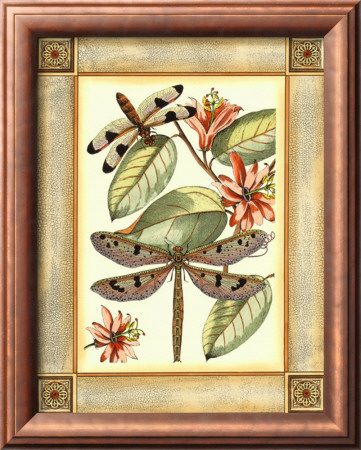 Dragonfly Essence I by Deborah Bookman Pricing Limited Edition Print image