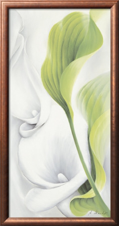 Calla Ii by Annette Schmucker Pricing Limited Edition Print image
