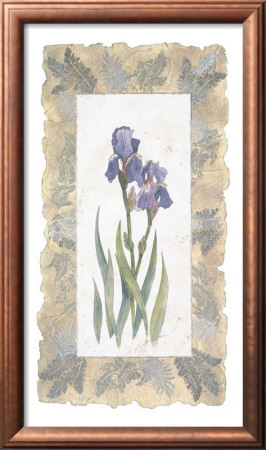 Emperor Iris by George Caso Pricing Limited Edition Print image