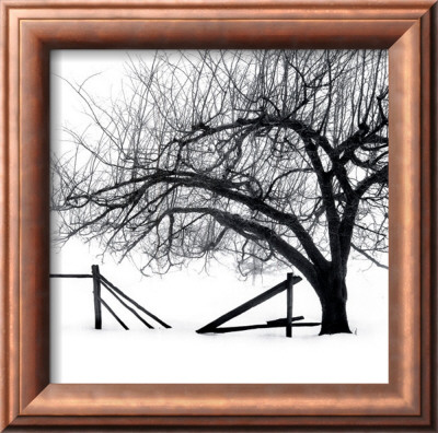 Snow Bound by Harold Silverman Pricing Limited Edition Print image
