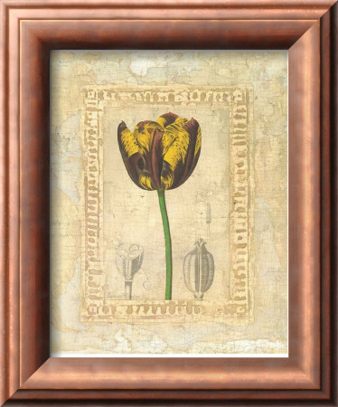 Tulipanes Bessa I by Javier Fuentes Pricing Limited Edition Print image
