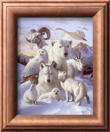 Polar Animals by James Himsworth Pricing Limited Edition Print image