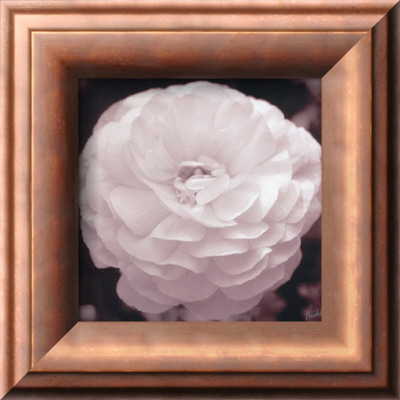 Dahlia by Mitch Ostapchuk Pricing Limited Edition Print image