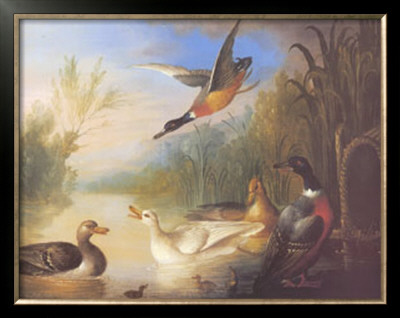 Waterfowl In A Landscape by Marmaduke Cradock Pricing Limited Edition Print image