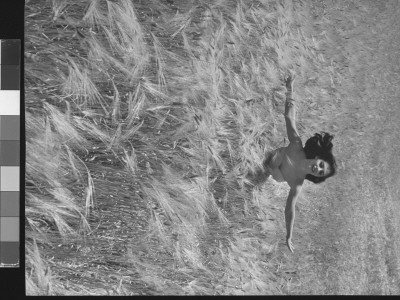 Pier Angeli In Strapless Chiffon Party Dress, Hands Outstretched, Racing Through A Field Of Wheat by Allan Grant Pricing Limited Edition Print image