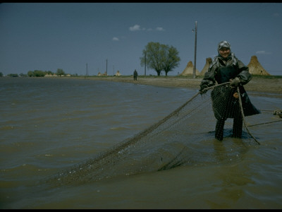 Sweep Net Fishing For Osetra Sturgeon At Tanya Molodeznaya In Volga River Delta, Russia by Carl Mydans Pricing Limited Edition Print image