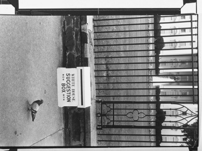 Box Reading White House Suggestion Box Outside W.H. Fence Placed By Unidentified Person by Ed Clark Pricing Limited Edition Print image