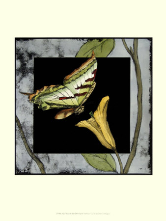 Tiled Butterfly I by Jennifer Goldberger Pricing Limited Edition Print image