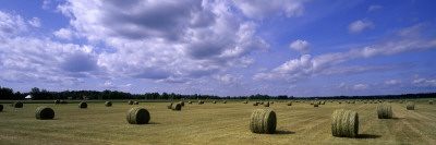 Hay Rolls In A Field, Sweden by Anders Ekholm Pricing Limited Edition Print image