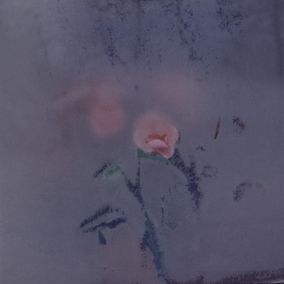 Close-Up Of A Flower Viewed Through A Glass by Ove Eriksson Pricing Limited Edition Print image