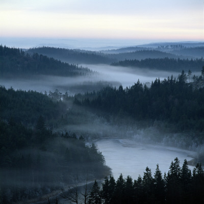 High Angle View Of Trees Along A River by Ove Eriksson Pricing Limited Edition Print image