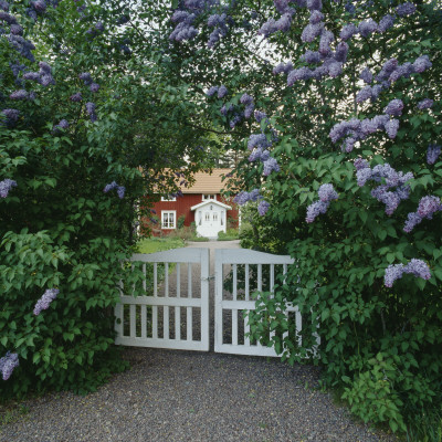A Gate By A House In Smaland, Sweden by Ove Eriksson Pricing Limited Edition Print image