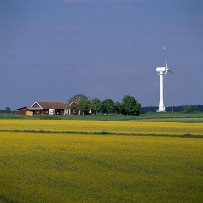 Wind Turbine In A Field by Ove Eriksson Pricing Limited Edition Print image