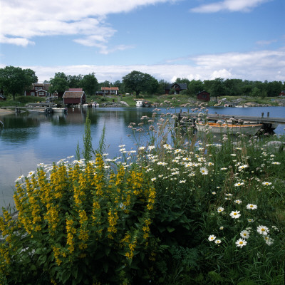 Flowers At A Riverbank by Ove Eriksson Pricing Limited Edition Print image