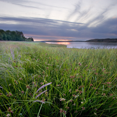 Tjorn Municipality, The West Coast, Sweden by Mattias Nilsson Pricing Limited Edition Print image