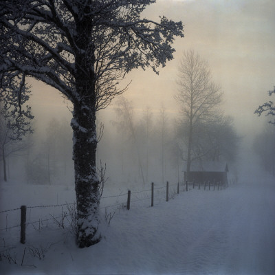 A Hut In Wintertime In Sweden by Mikael Andersson Pricing Limited Edition Print image
