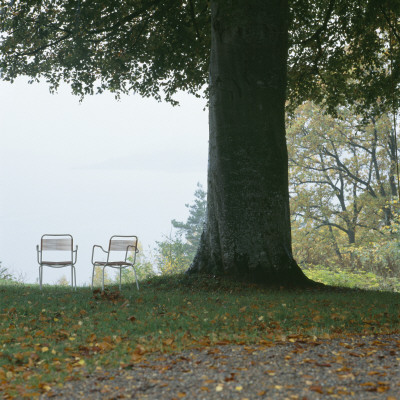 Two Deck Chairs Underneath A Big Tree by Helene Toresdotter Pricing Limited Edition Print image