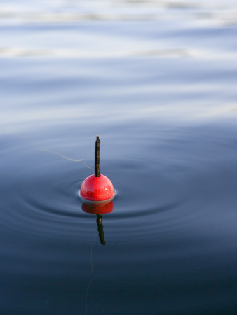 A Red Fishing Float In Water by Anders Ekholm Pricing Limited Edition Print image