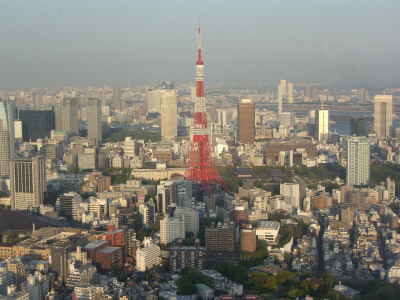 Tokyo Tower by Dale Robinson Pricing Limited Edition Print image