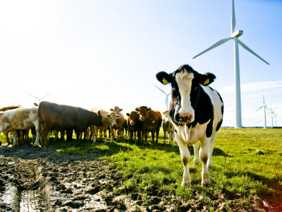 Modern Irish Farming by Dave G Kelly Pricing Limited Edition Print image