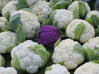 Close-Up Of Cauliflowers by Ingemar Aourell Pricing Limited Edition Print image
