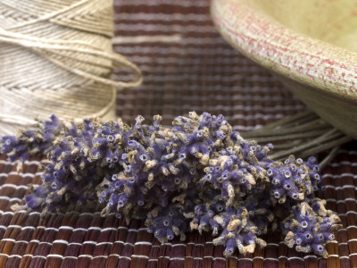 Dried Lavender Bunch by Joanna Wnuk Pricing Limited Edition Print image