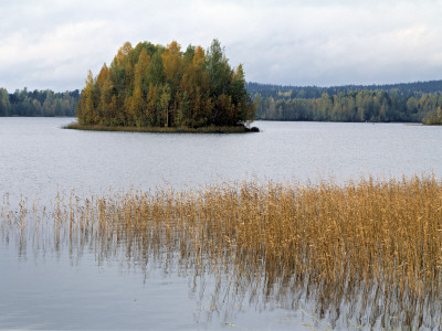 Autumn Colours In Finland by Kalervo Ojutkangas Pricing Limited Edition Print image