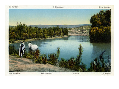 Jordan River - Bedouin Watering His White Horse by Hugh Thomson Pricing Limited Edition Print image