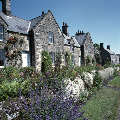 Terraced Housing, Cambo, Northumberland, Home Village Of Capability Brown by Colin Dixon Pricing Limited Edition Print image