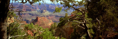 The Grand Canyon, Arizona by Barry Herman Pricing Limited Edition Print image