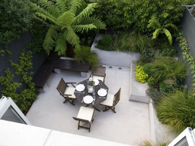 Small Town Garden With Patio, Tree Fern, Table And Chairs, Designer: Charlotte Rowe by Clive Nichols Pricing Limited Edition Print image