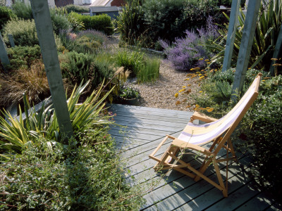 Seaside Garden - Front Garden With Wooden Verandah, Pergola, Deckchair, Phormiums And Perovskia by Clive Nichols Pricing Limited Edition Print image