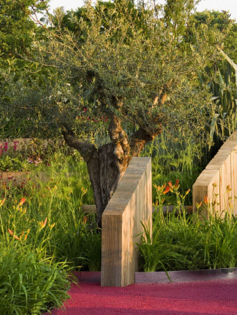 Hampton Court Flower Show 2006: Designer- Trevor Tooth, Mediterranean Style Garden by Clive Nichols Pricing Limited Edition Print image