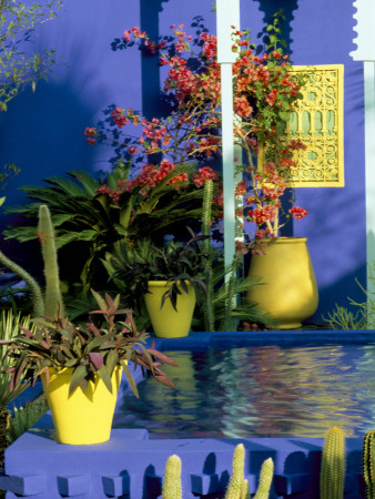Cobalt Blue Fountain, Cacti And Yellow Terracotta Pot In The Moroccan Style Yves St, Chelsea 97 by Clive Nichols Pricing Limited Edition Print image