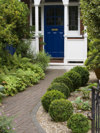 Front Garden With Brick Path To Front Door, Gravel Bed With Box Balls, Designer: Kathy Taylor by Clive Nichols Pricing Limited Edition Print image