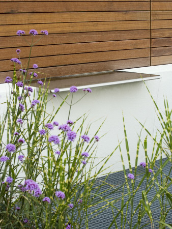 Minimalist Garden By Wynniatt-Husey Clarke: Water Feature, Verbena Bonariensis, Miscanthus Zebrinus by Clive Nichols Pricing Limited Edition Print image