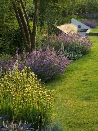 Lawn Planted- Nepeta Walkers Low, Sisyrinchium Striatum, Water Rill And Metal Sails, Clare Matthews by Clive Nichols Pricing Limited Edition Print image