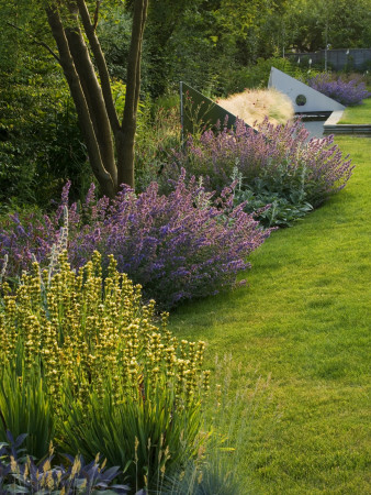 Lawn Planted- Nepeta Walkers Low, Sisyrinchium Striatum, Water Rill And Metal Sails, Clare Matthews by Clive Nichols Pricing Limited Edition Print image