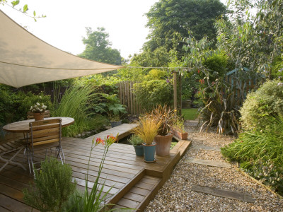 Exotic Shade Planting - Phormium, Bamboo, Rosemary And Other Foliage Over Dining Area, Kathy Taylor by Clive Nichols Pricing Limited Edition Print image