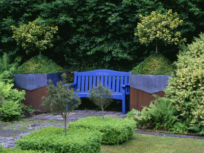 Blue Bench With Lead And Rusty Metal Containers Planted With Holly And Box, Designer: Tony Ridler by Clive Nichols Pricing Limited Edition Print image