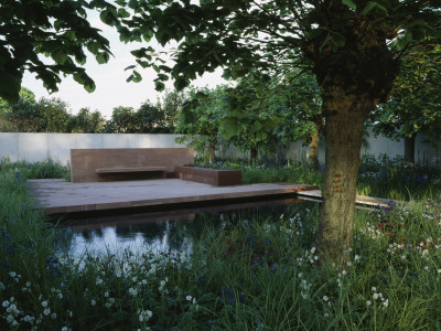 Lake, Wild Meadow Planting And Red Sandstone Terrace, (Chelsea 2001), Designer: Tom Stuart-Smith by Clive Nichols Pricing Limited Edition Print image