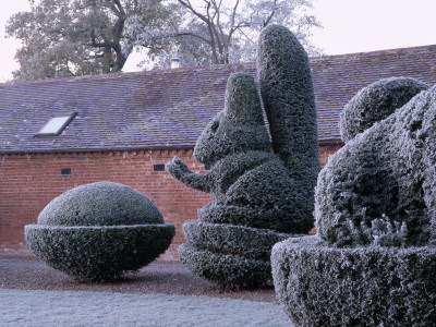 Parsonage, Worcestershire - Frosted Topiary, Rabbit Beside The Lawn, Winter by Clive Nichols Pricing Limited Edition Print image