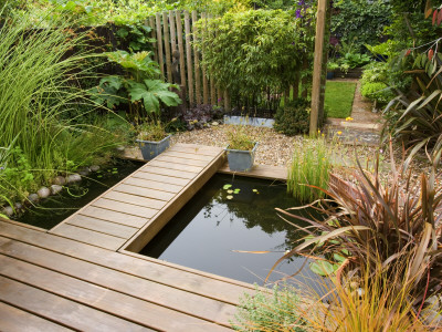 Pond In The Back Garden With Wooden Decking Walkway, Designer: Kathy Taylor by Clive Nichols Pricing Limited Edition Print image