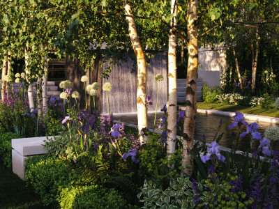 Chelsea Flower Show 2004: The Knightsbridge Urban Renaissance Garden by Clive Nichols Pricing Limited Edition Print image